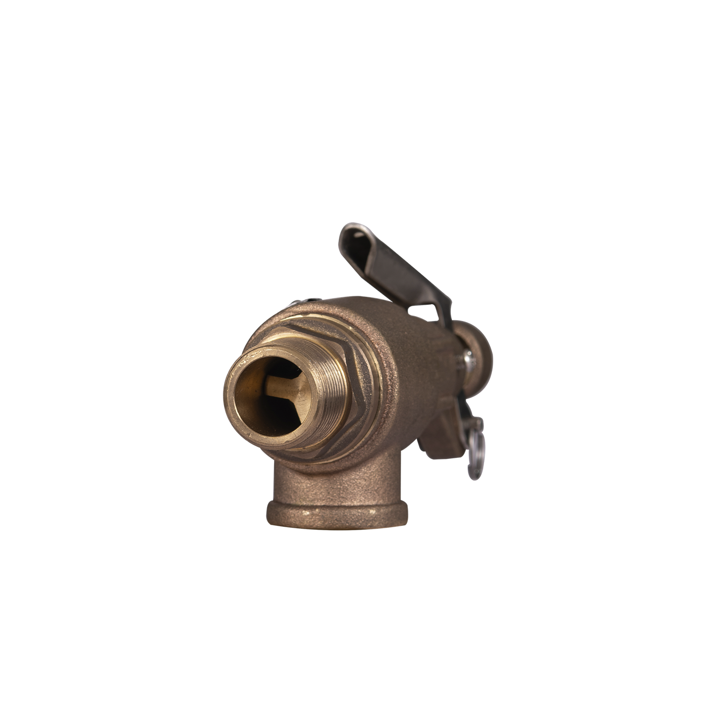 Válvula de Seguridad Zentry NPT-BCE Modelo PSV