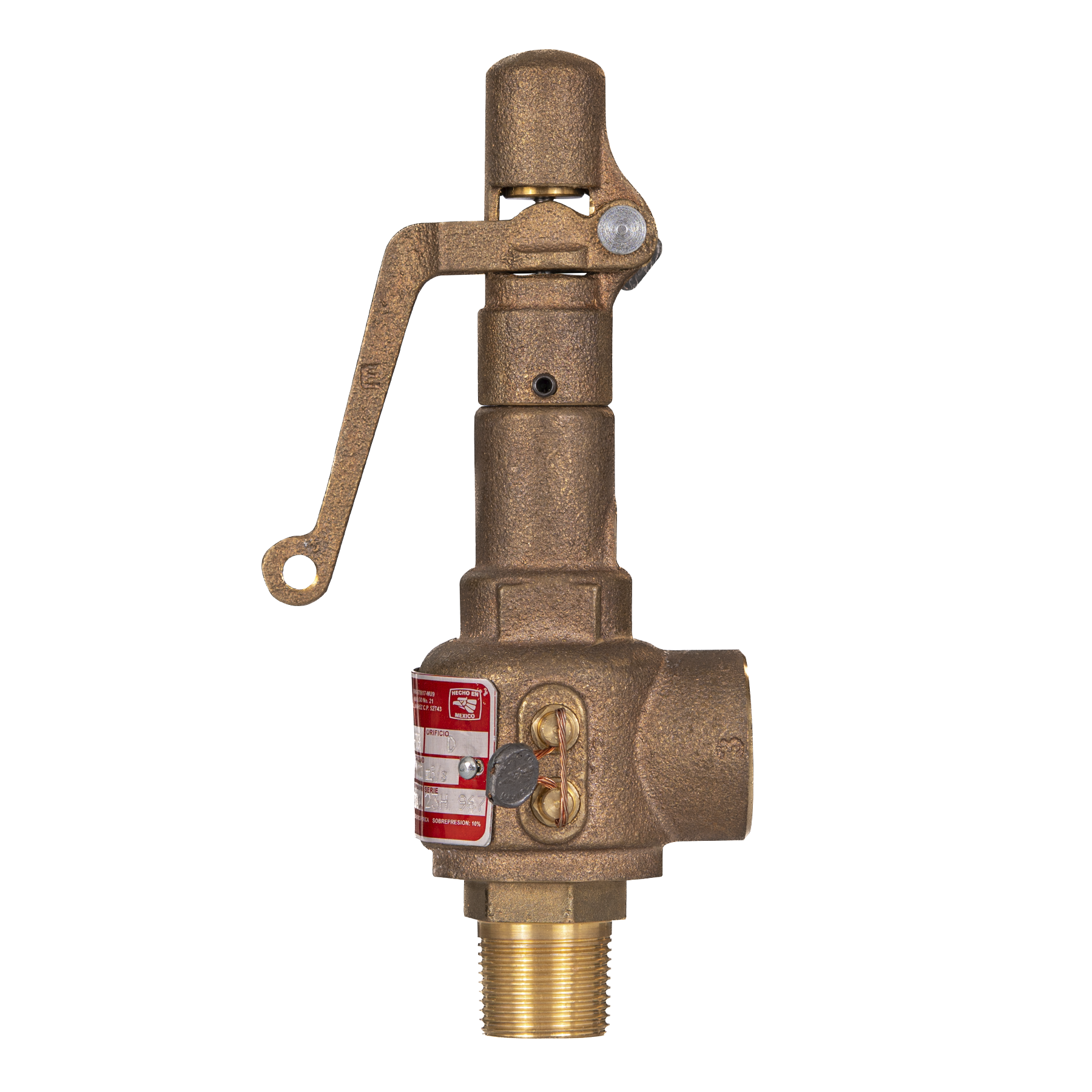 Válvula de Seguridad NPT-BCE - Modelo 211 Vayremex
