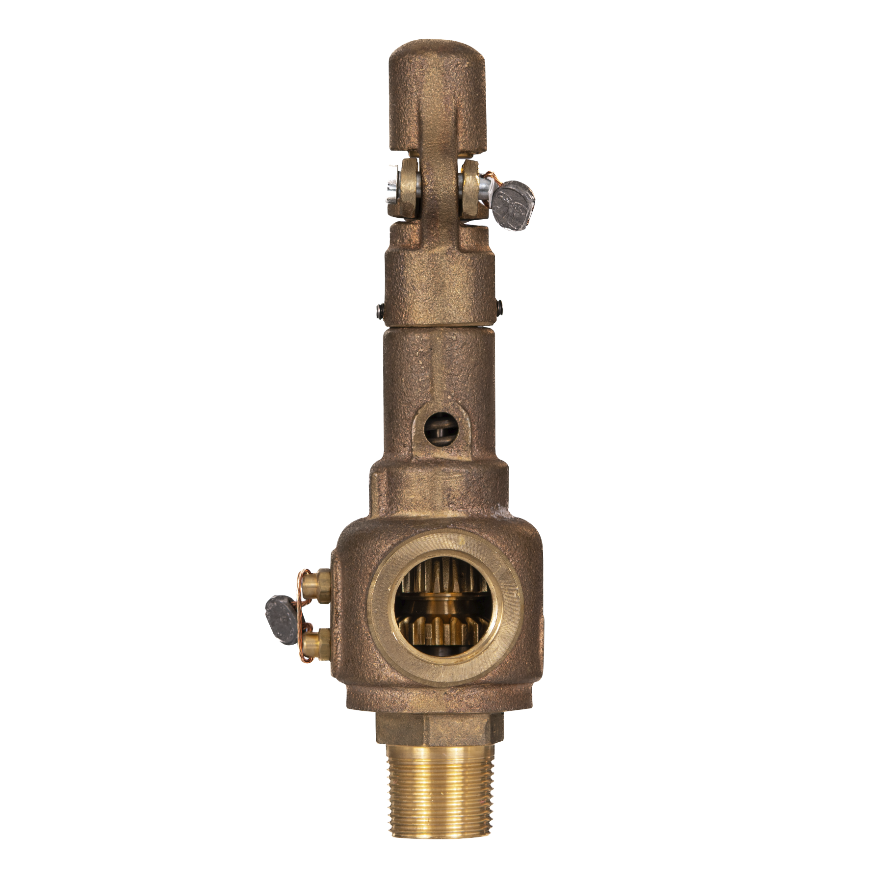 Válvula de Seguridad NPT-BCE - Modelo 211 Vayremex