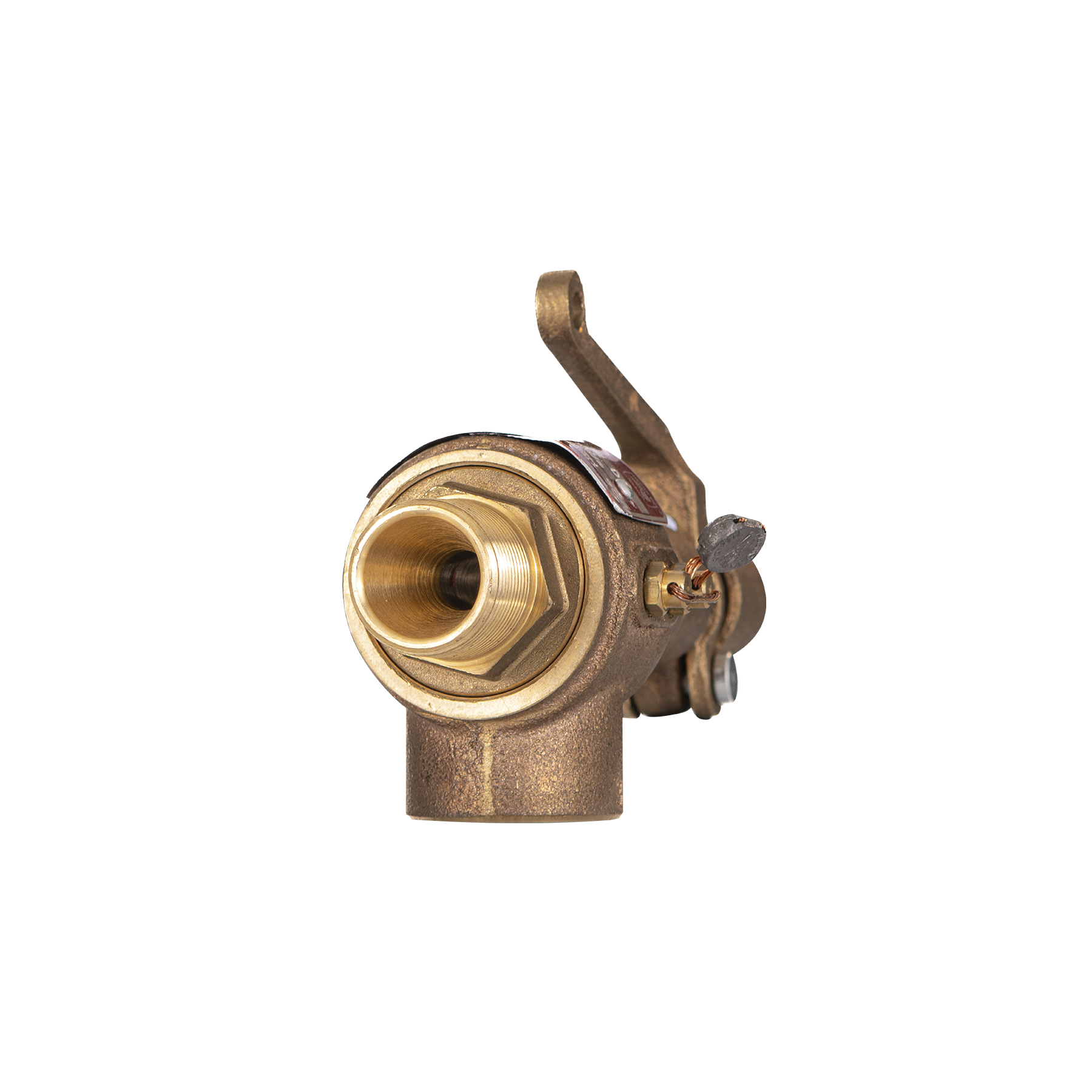 Válvula de Seguridad NPT-BCE - Modelo 211 Vayremex