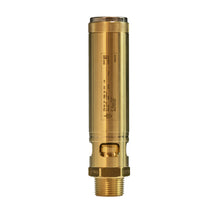 Válvula de Seguridad BSP-BCE Goetze 812
