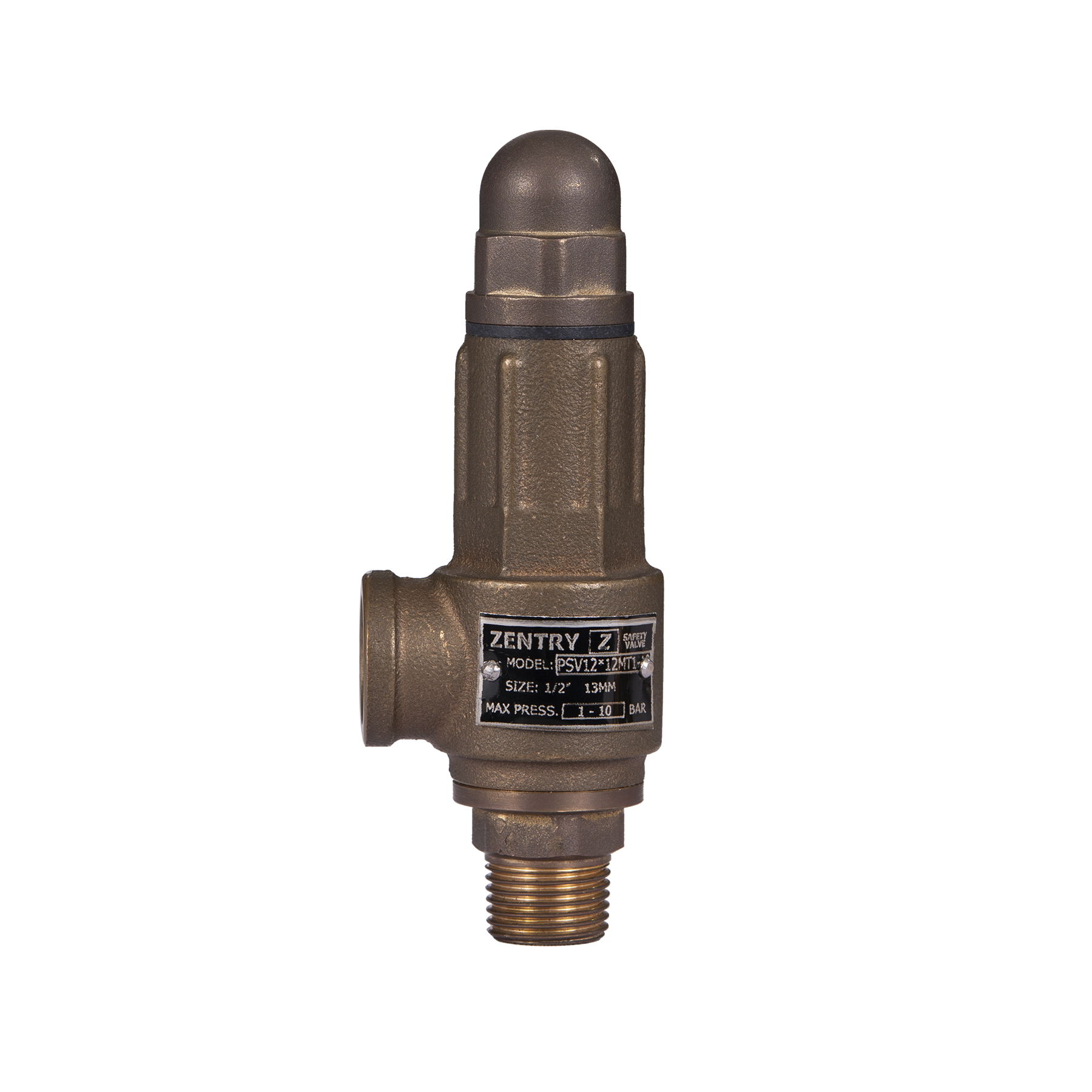 Válvula de Seguridad Zentry NPT-BCE Modelo PSV