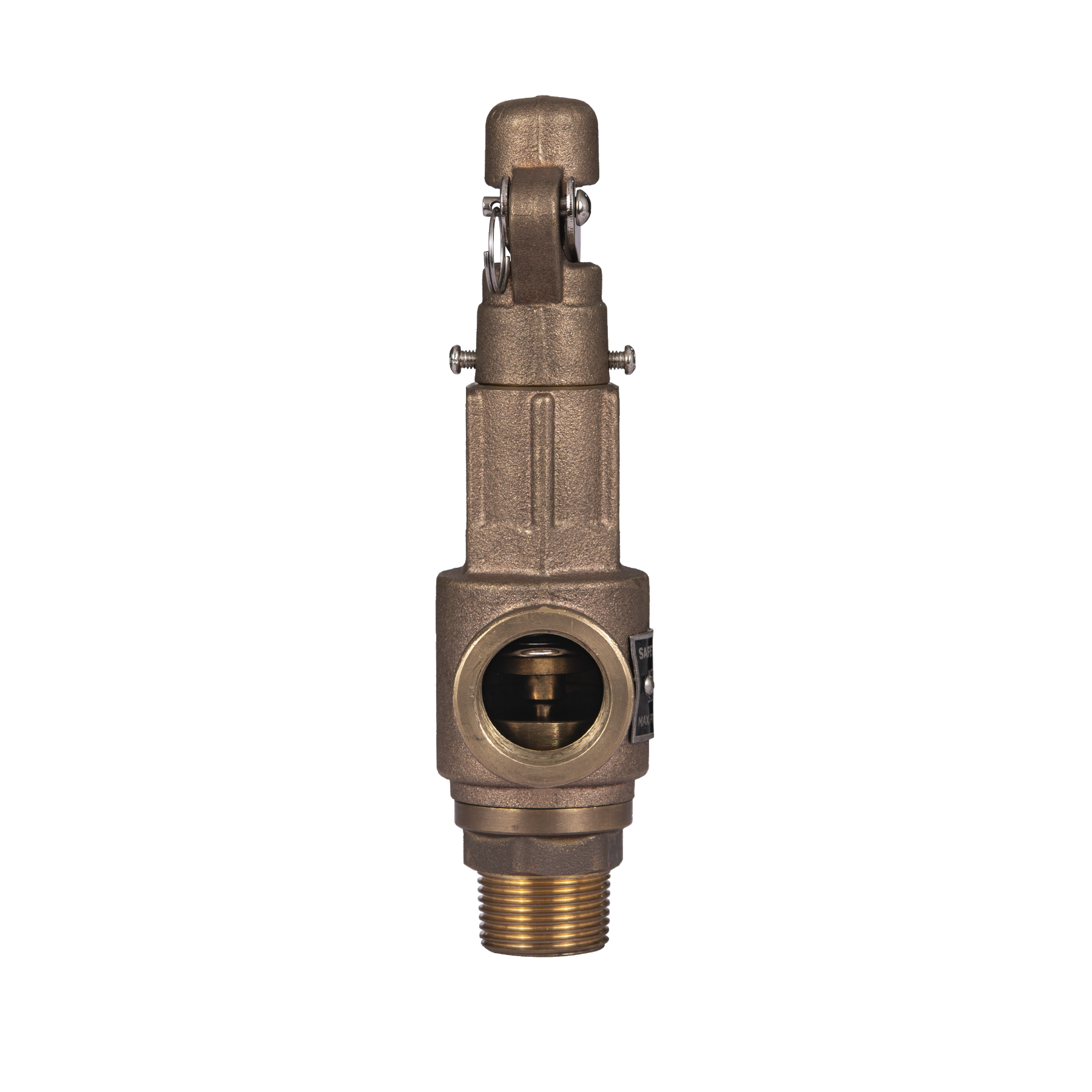 Válvula de Seguridad Zentry NPT-BCE Modelo PSV