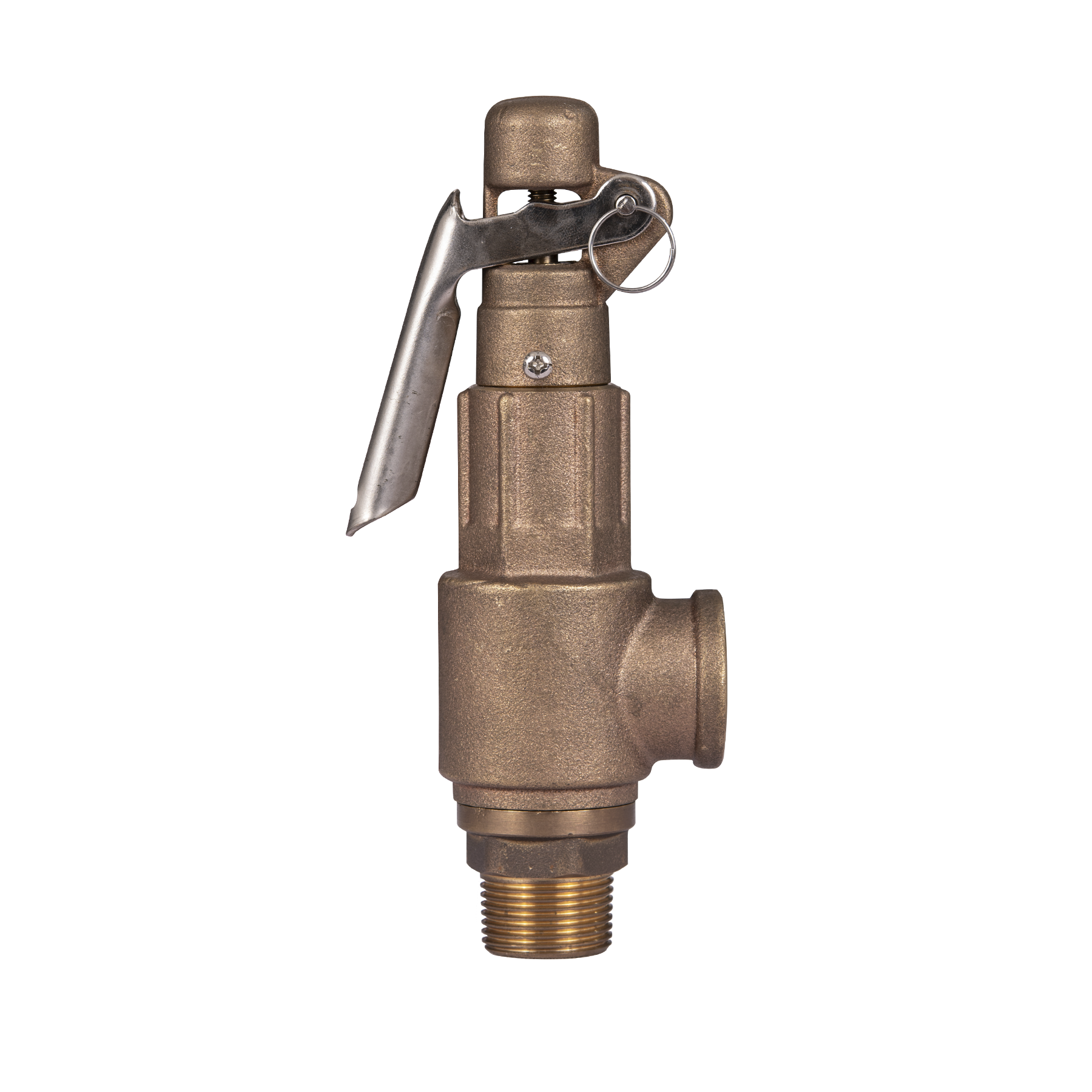 Válvula de Seguridad Zentry NPT-BCE Modelo PSV