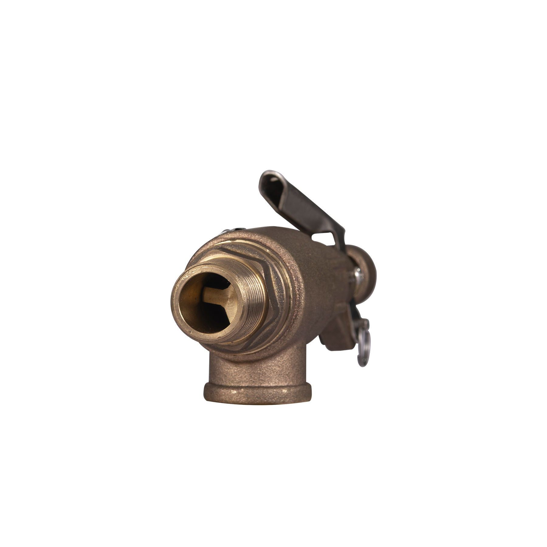 Válvula de Seguridad Zentry NPT-BCE Modelo PSV