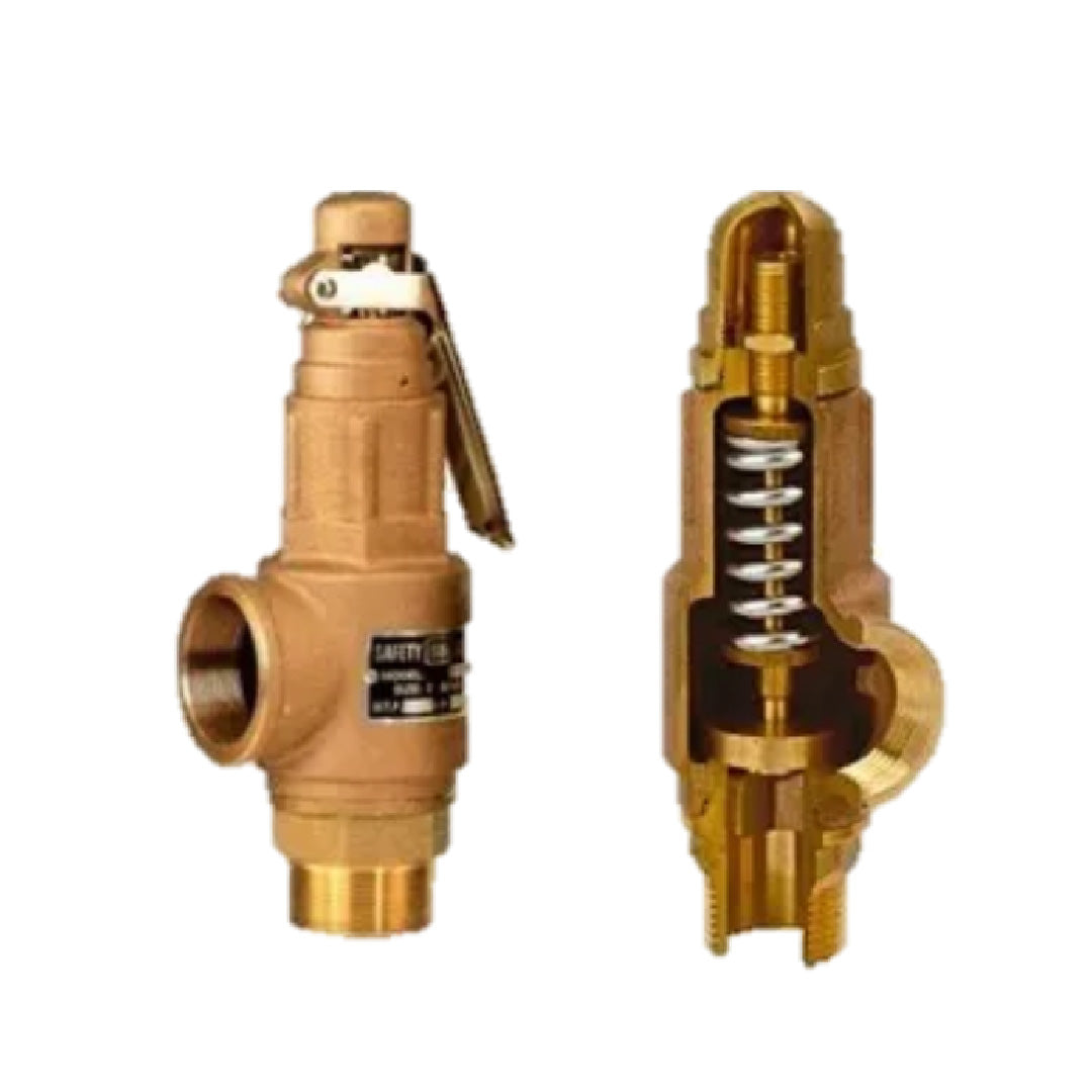 Válvula de Seguridad Zentry NPT-BCE Modelo PSV